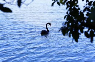 以行促學(xué) 賦能宣傳 | 2023通訊員交流活動(dòng)圓滿結(jié)束